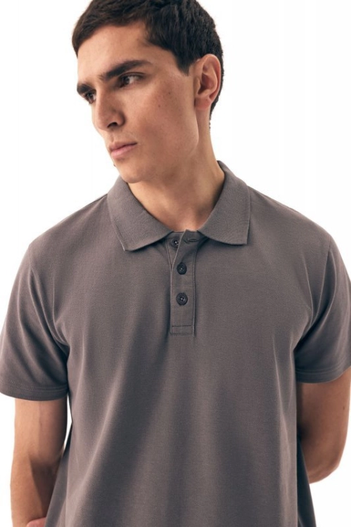 Koszulka polo męska bawełniana Esotiq-Henderson Mile 43025 szara - prezentacja modelu, ujęcie 7