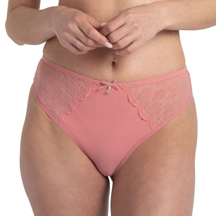 799-SAMTAROSE-R_0.jpg