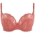 799-PANBI10341-GRO_3.jpg