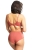 799-PANBI10341-GRO_8.jpg