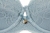 799-MATBI321011-NIE_1.JPG
