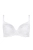 222_6.webp