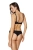 2519_5.webp