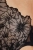 2536_5.webp