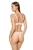 2541_5.webp