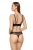 2543_6.webp