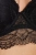 2543_1.webp