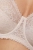 2559_3.webp