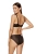 2403_1.webp