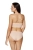 2479_2.webp