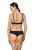 2482_2.webp