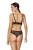 2485_2.webp