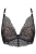 2485_7.webp