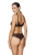2486_2.webp