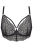 2486_5.webp