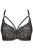 2487_4.webp