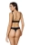 2489_2.webp