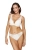 2491_1.webp