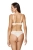 2491_2.webp