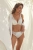 2491_3.webp