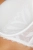 2493_2.webp