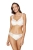 2494_1.webp
