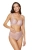 2497_1.webp