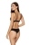 2402_1.webp