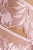 2420_3.webp