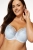 2442_5.webp