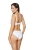 2456_7.webp