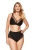 2172_1.webp