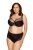 2173_4.webp