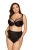 2174_3.webp