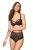 2195_2.webp