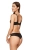 2202_1.webp
