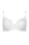 224_9.webp