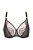 2322_7.webp