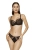 1366_3.webp