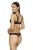 1366_4.webp