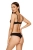 2353_2.webp