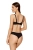 2353_4.webp