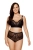 2356_1.webp