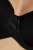 1914_6.webp