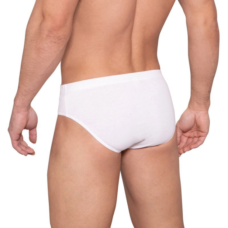 799-LAMSL4000CL01-3XL_2.jpg