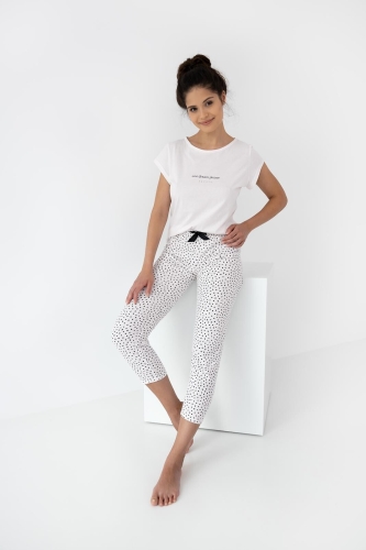 404419.jpg