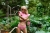 799-JULFILOLIPBR-X_6.jpg