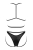 799-OBSCONISE2-CZA_4.jpg