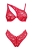 799-OBSATESE2-CZE_2.jpg