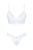 799-OBSHEASET2-BIA_4.jpg